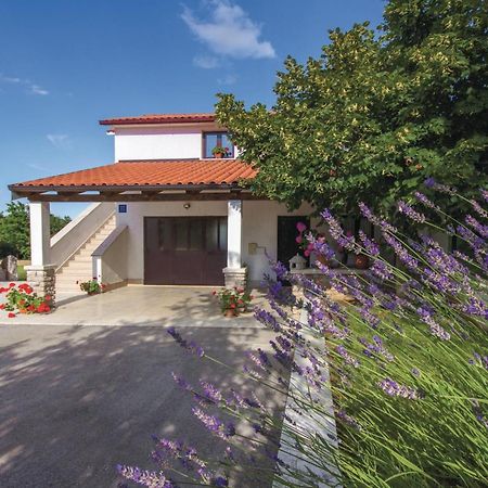 Katun Lindarski Amazing Apartment In Pazin With Wifi מראה חיצוני תמונה